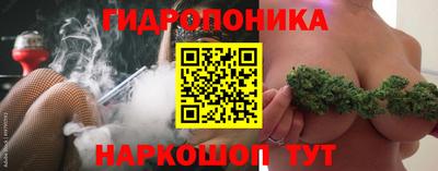 гашик Прокопьевск