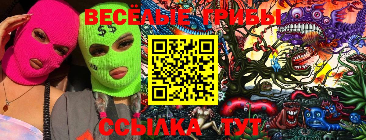 Псилоцибиновые грибы GOLDEN TEACHER  Псилоцибиновые грибы Magic Shrooms  Муром  Вход с VPN 